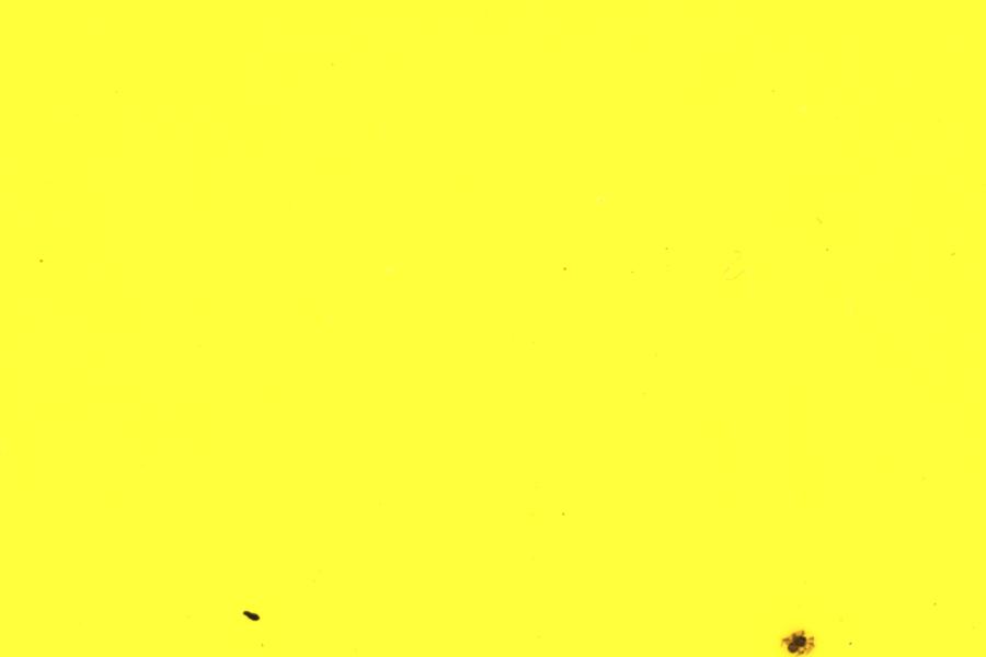 Image 28